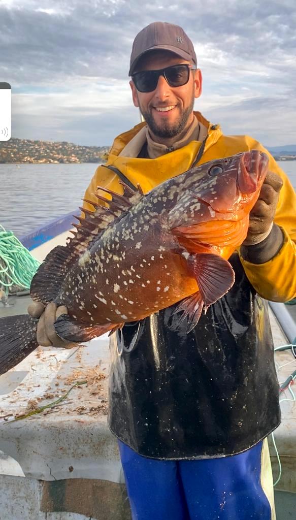 Vente directe de poisons sauvages Agay Saint Raphael.Vente de poissons sauvages frais directement aux particuliers.Pêche artisanale et vente de poisson frais à Agay Saint Raphael Var.Poissonnerie d'Agay Saint Raphael. 