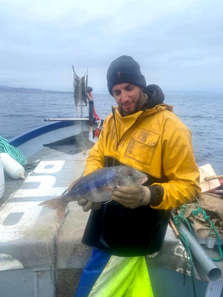 Vente directe de poisons sauvages Agay Saint Raphael.Vente de poissons sauvages frais directement aux particuliers.Pêche artisanale et vente de poisson frais à Agay Saint Raphael Var.Poissonnerie d'Agay Saint Raphael. 