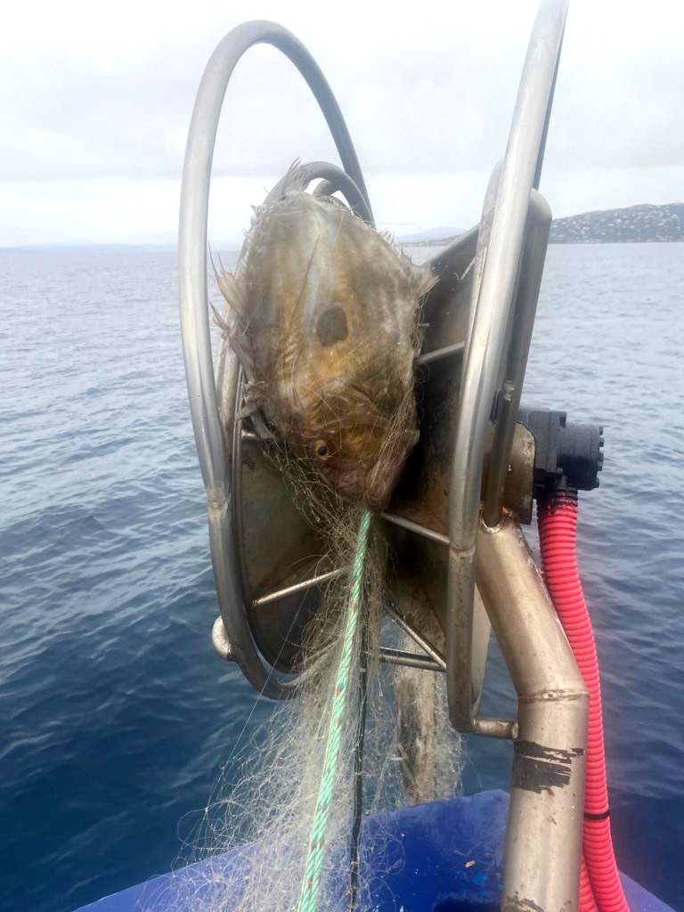 Vente directe de poisons sauvages Agay Saint Raphael.Vente de poissons sauvages frais directement aux particuliers.Pêche artisanale et vente de poisson frais à Agay Saint Raphael Var.Poissonnerie d'Agay Saint Raphael. 